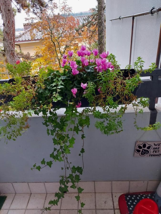 La Pineta - Delightful Small Apartment Near The City Center 라킬라 외부 사진